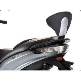 Système de fixation de dossier SHAD 1062616 | Oxmoto