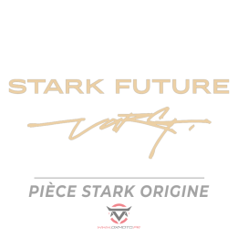 Dérive chaine rk 520 stark future | Oxmoto