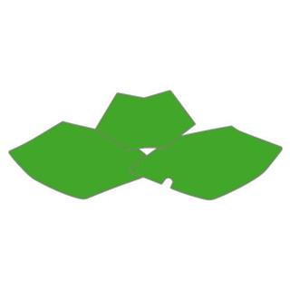 Fonds de plaque Blackbird vert Beta RR | Oxmoto