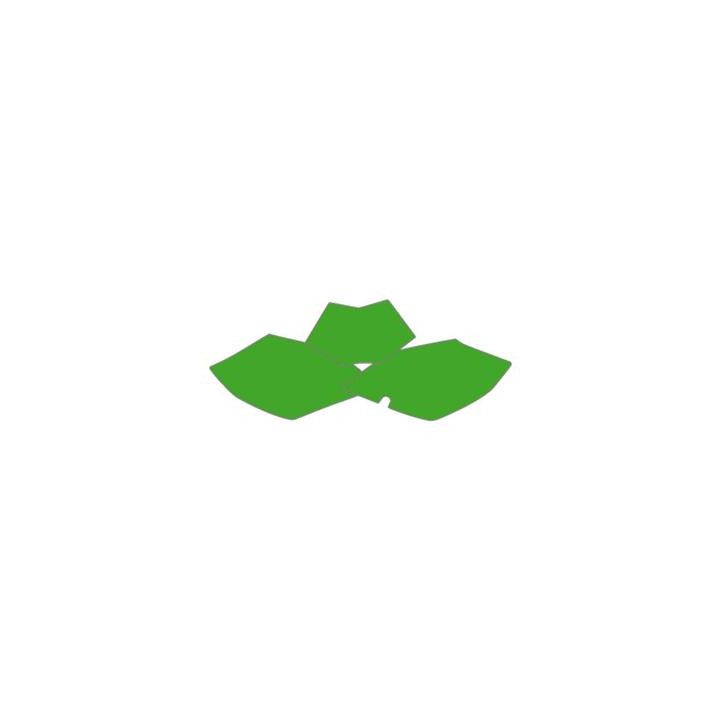 Fonds de plaque Blackbird vert Beta RR | Oxmoto