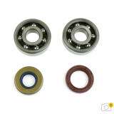 Kit roulements et joints spi de vilebrequin Athena P400420444003