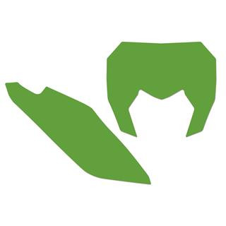 Fonds de plaque Blackbird vert sherco SE/SE-F | Oxmoto