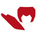 Fonds de plaque Blackbird rouge sherco SE/SE-F | Oxmoto