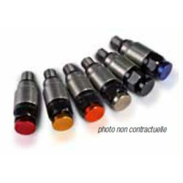 Valve decharge pression EN inox pour fourche WP inox M4X0,7
