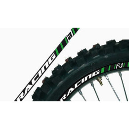 Déco de jante Blackbird verte universelle | Oxmoto