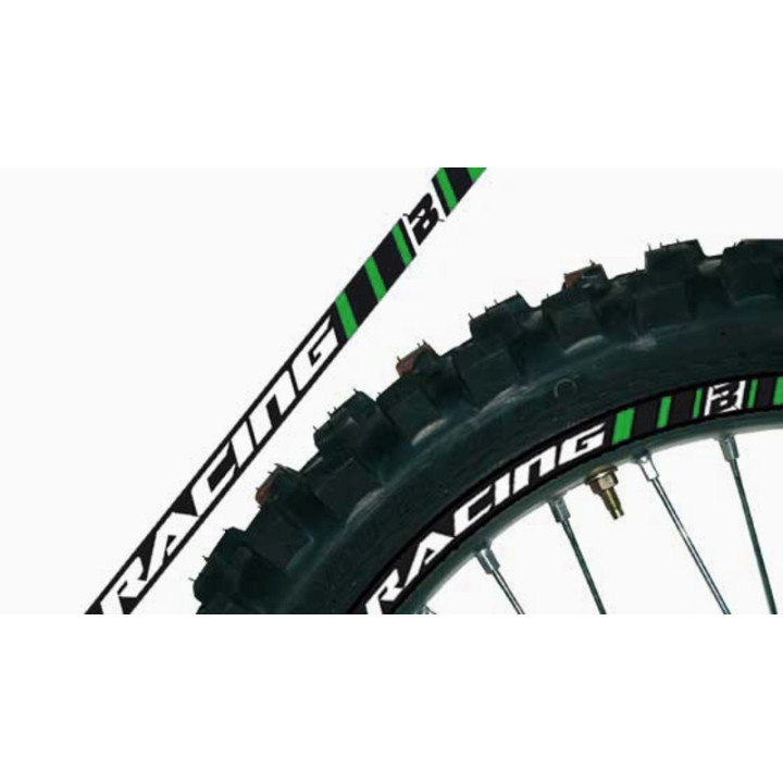 Déco de jante Blackbird verte universelle | Oxmoto