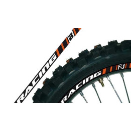 Déco de jante Blackbird orange universelle | Oxmoto