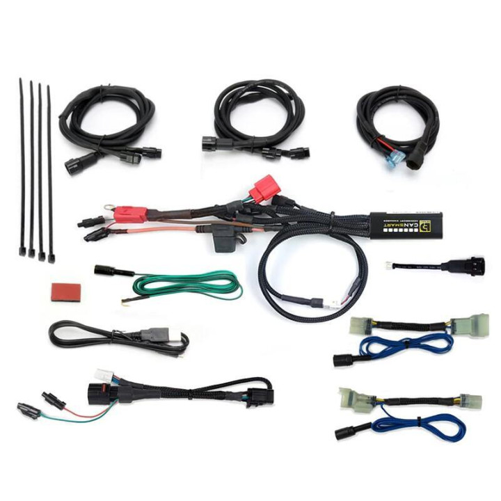 Kit Denali CANsmart™ DL4 - lentilles transparentes 3070583