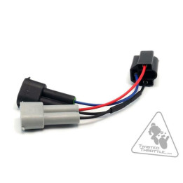 Adaptateur câble Denali phare H4 vers H9/H11 | Oxmoto