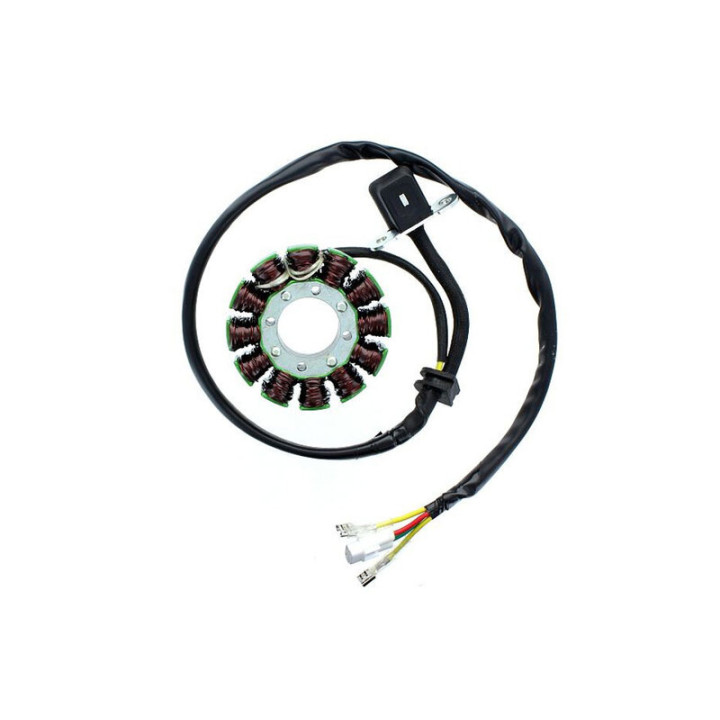 Stator Electrosport ESG169 | Oxmoto