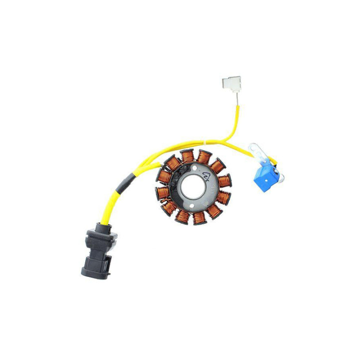Stator Electrosport ESG194 | Oxmoto