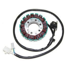 Stator Electrosport ESG791 | Oxmoto