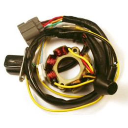 Stator avec bobine d'éclairage Electrosport - Suzuki RM-Z250 ESL740