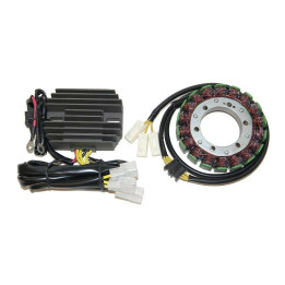 Stator Electrosport - Kawasaki ESK691 | Oxmoto