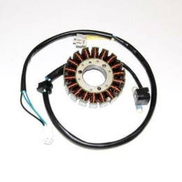 Stator Electrosport ESG181 | Oxmoto