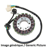 Stator Electrosport - Kawasaki Ninja 300 | Oxmoto