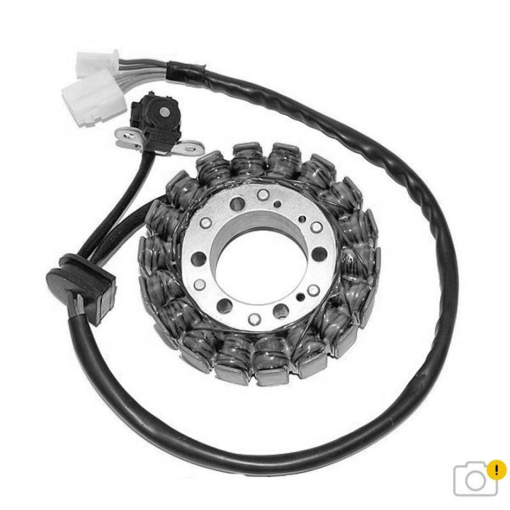 Stator Electrosport - Suzuki 650 Gladius | Oxmoto