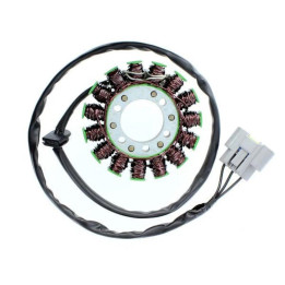 Stator Electrosport - BMW S1000R | Oxmoto