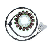 Stator Electrosport - BMW S1000R | Oxmoto