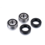 Kit roulements de roue FACTORY LINKS AFW-K-005 | Oxmoto