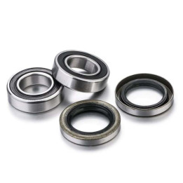 Kit roulements de roue FACTORY LINKS RWK-B-002 | Oxmoto