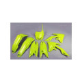 Kit plastiques UFO Suzuki rm-z250 1087731005 | Oxmoto