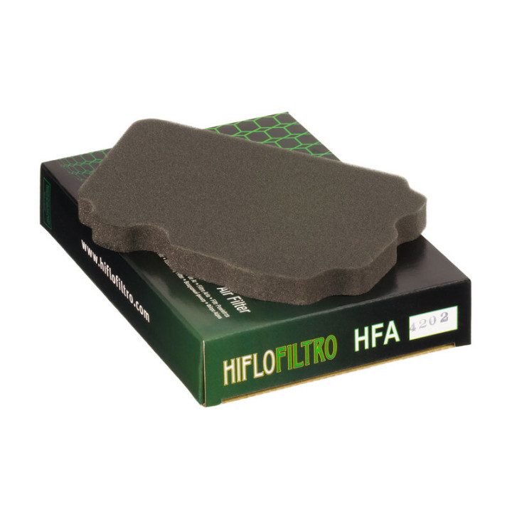 Filtre à air Hiflofiltro - HFA4202 | Oxmoto