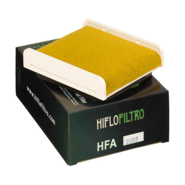 Filtre à air Hiflofiltro - HFA2503 | Oxmoto