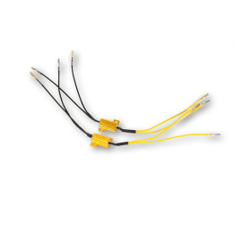 Résistances de puissance Highsider smart - 25 W- 10 Ohm - avec câble - la paire