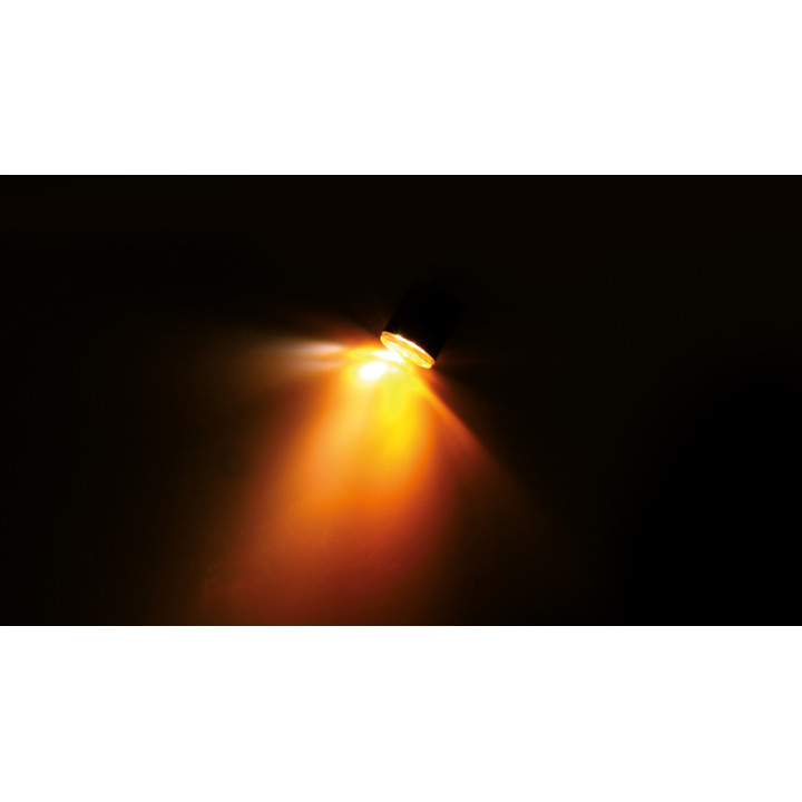 Clignotant/feu de position LED Highsider pro Proton Modul 2en1 homologué - verre fumé - la paire