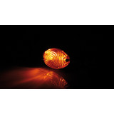 Clignotant Highsider smart Cateye Mini homologué - verre orange - la paire