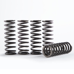 Kit de ressort d'embrayage Hinson Hi-Temps CS095-6-001