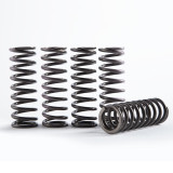 Kit de ressort d'embrayage Hinson Hi-Temps CS095-6-001