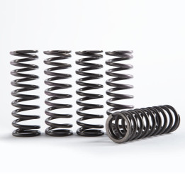 Kit de ressort d'embrayage Hinson Hi-Temps CS616-2301