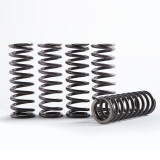 Kit de ressort d'embrayage Hinson Hi-Temps CS663-1-2101