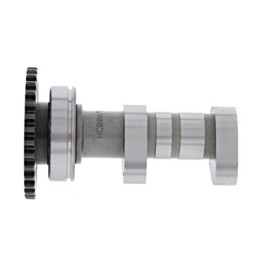 Arbre à cames admission HOT CAMS - Niveau 2 Yamaha WR450F