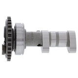 Arbre à cames échappement HOT CAMS - Niveau | Oxmoto