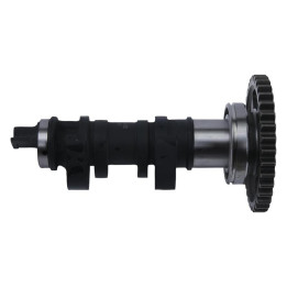 Arbre à cames simple HOT CAMS - niveau | Oxmoto