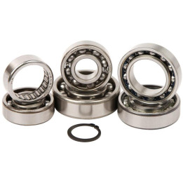 Kit roulements boîte de vitesse HOT RODS Suzuki RM85 TBK0049