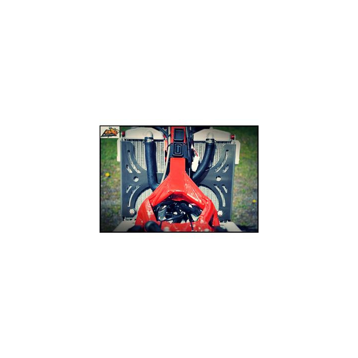 Protection de radiateur AXP alu rouge Beta rr350 1053325