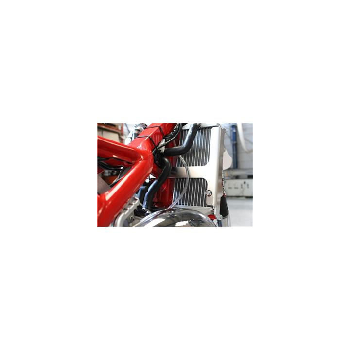 Protection de radiateur AXP aluminium - Beta RR125 | Oxmoto