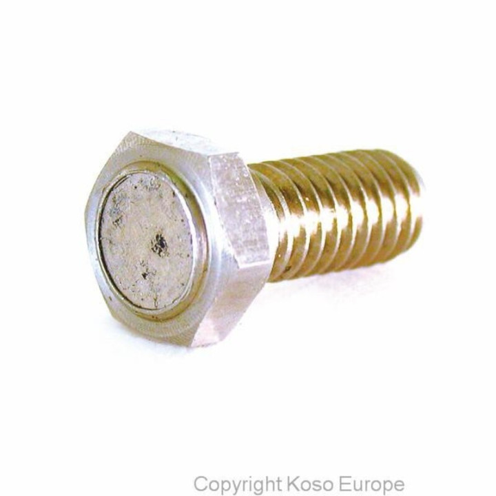 KOSO Magnet screw for brake disk (M8 x P1.25 x 29L) | Oxmoto