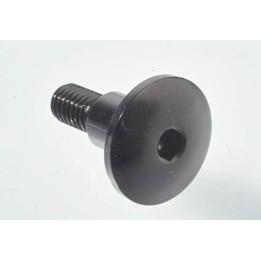 Vis spéciale Ergal 7075 Lightech M5 X 16,5 type 962 cobalt