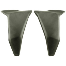 Protection de radiateur latéral Lightech carbone brillant