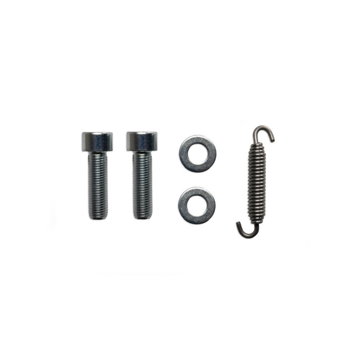 Pot d'échappement MALOSSI RX 3219111.K0 | Oxmoto