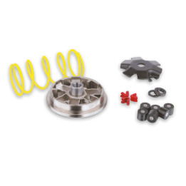 Variateur MALOSSI Multivar 51 8852 | Oxmoto
