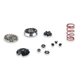 Variateur MALOSSI Multivar - Yamaha-MINARELLI 5112800