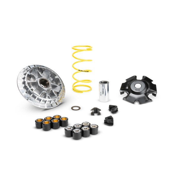 Variateur MALOSSI Multivar 2000 5119873 | Oxmoto