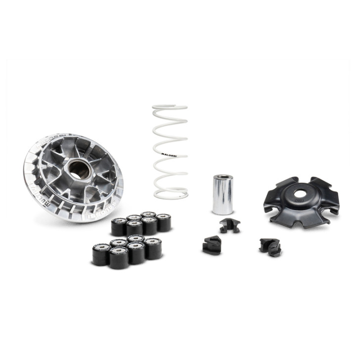 Variateur MALOSSI Multivar 2000 5119876 | Oxmoto