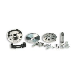 Variateur MALOSSI Variotop - grande plage 51 1887 | Oxmoto